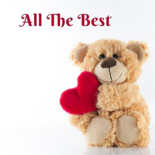 Teddy with the red heart is all the best.