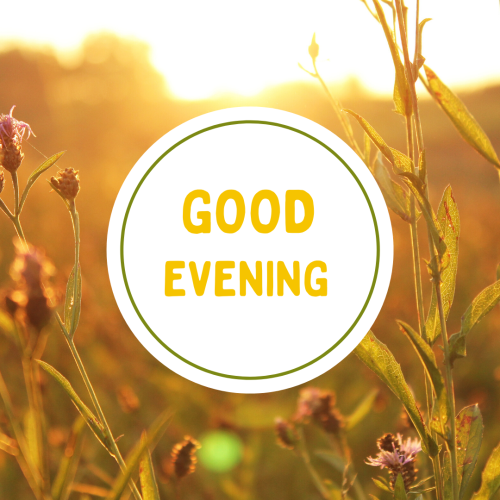 Sunset on wish card, GOOD EVENING