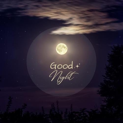 Full moon at good night