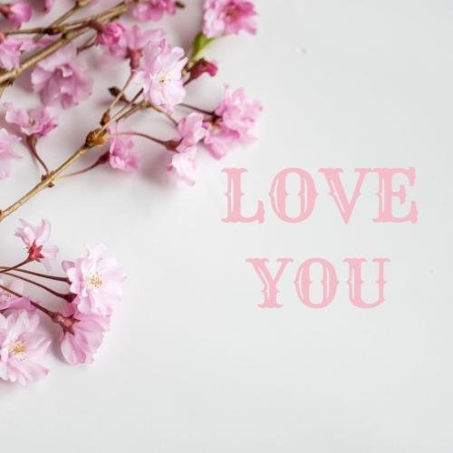 White back and pink flowers on wish card Love you.