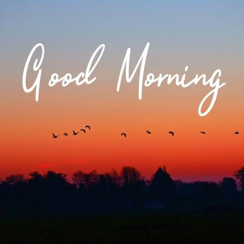 good morning sky view