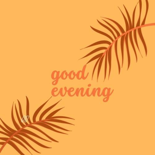 Yellow back on wish card GOOD EVENING