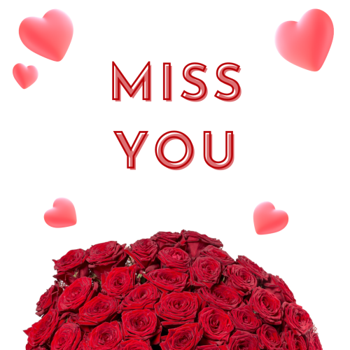 Miss You, lots of roses.