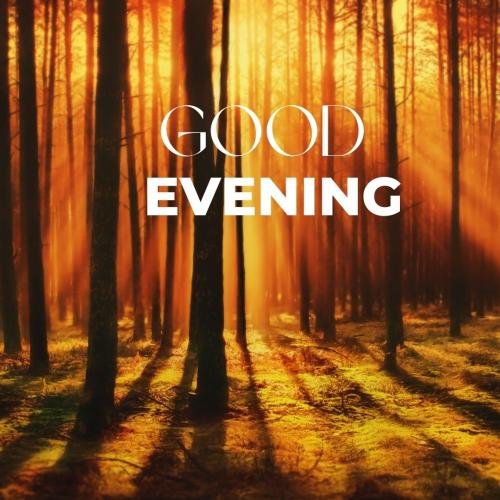 Forest picture with a sunset view wish card Good Evening