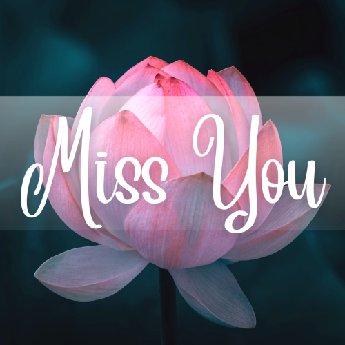 Pink flower in dark, Miss You.