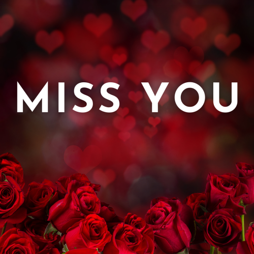 Miss You, lots of red roses on a wish card.