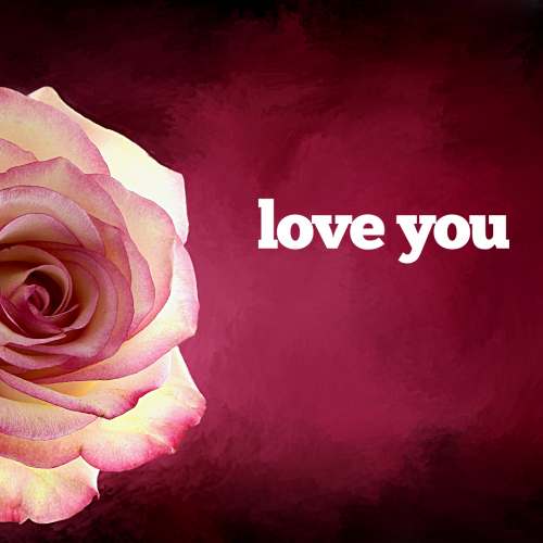 2 (1) (1) (1) (1) (1) (1) (1)