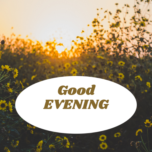 Flowers on wish card, GOOD EVENING