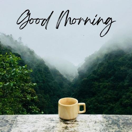 Tea at good morning