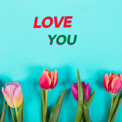 Flowers message love you