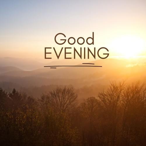 Forest view on wish card Good Evening.