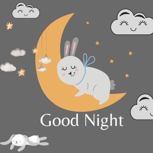 Good Night Image Card