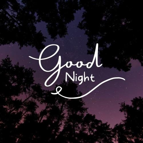 Good night beautiful forest view