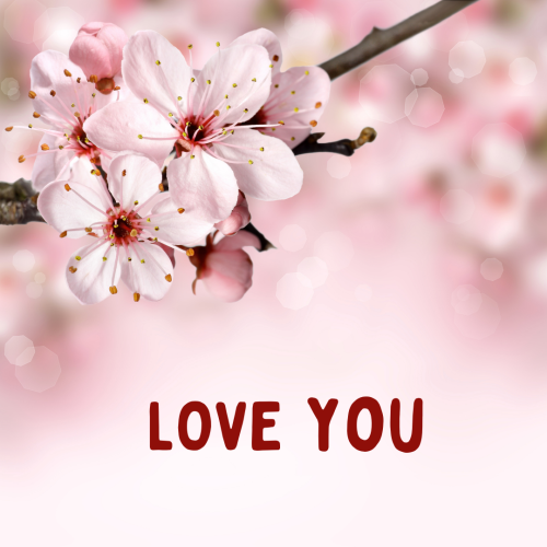 White flower on wish card Love you