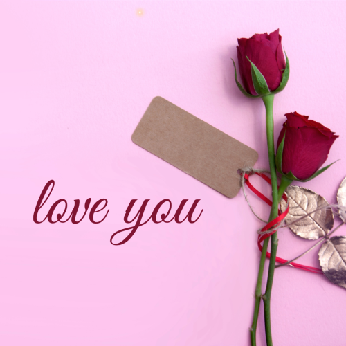 Red rose on pink background Love you