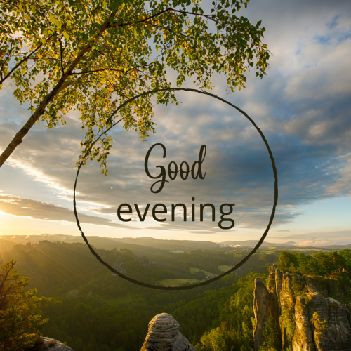 Trees on wish card GOOD EVENING
