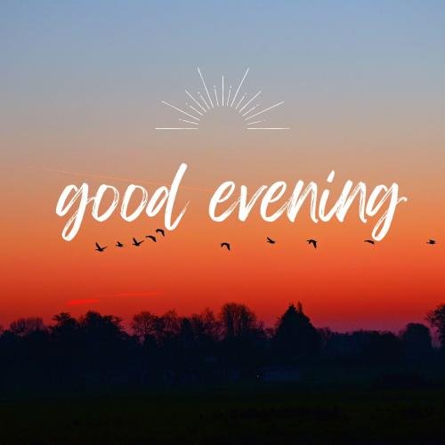 Trees on wish card GOOD EVENING