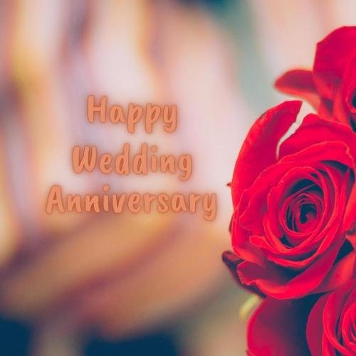Red rose, happy wedding anniversary.