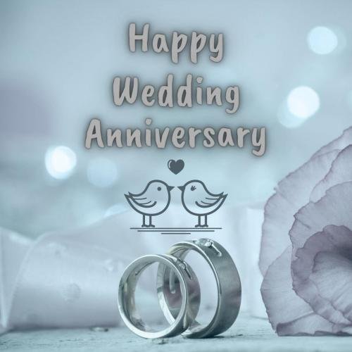 Couple rings, happy wedding anniversary.
