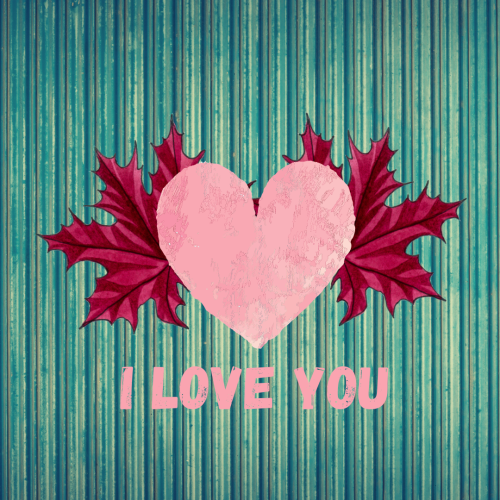 Pink heart with red leaves wishing Love you