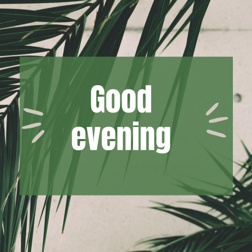 Plants on wish card GOOD EVENING