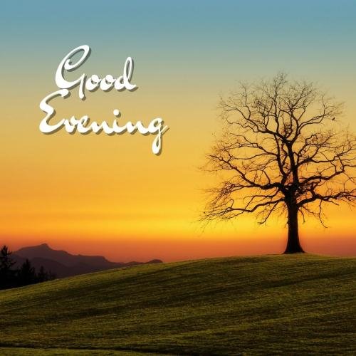 Tree on wish card GOOD EVENING