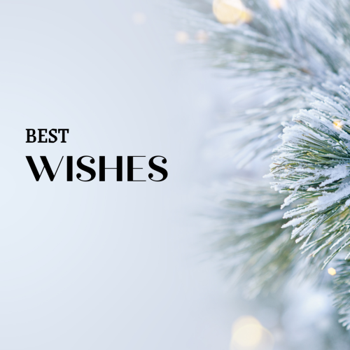 Best Wishes, snow on leaves.