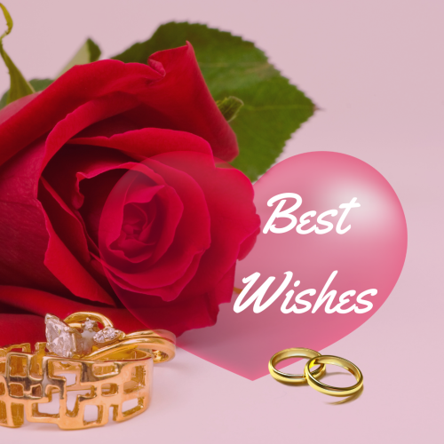 Rose and rings on pink background, Best wishes.