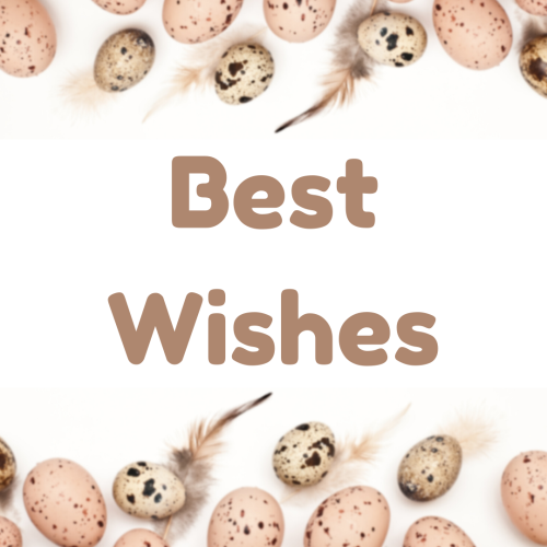 Lots of eggs on a wish card, Best wishes.