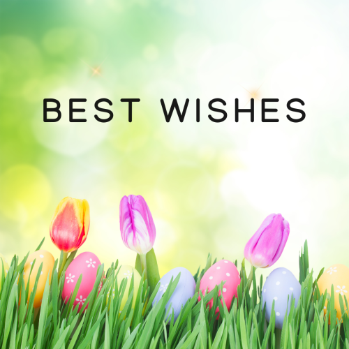 Best Wishes, flowers in the bottom.