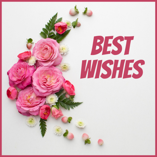 Best wishes, a pink flower bokeh.