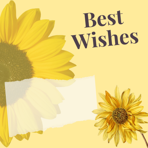 Best Wishes, red circle on a yellow background.