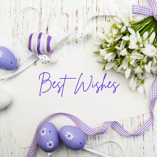 Egg and flowers on white background, Best Wishes.