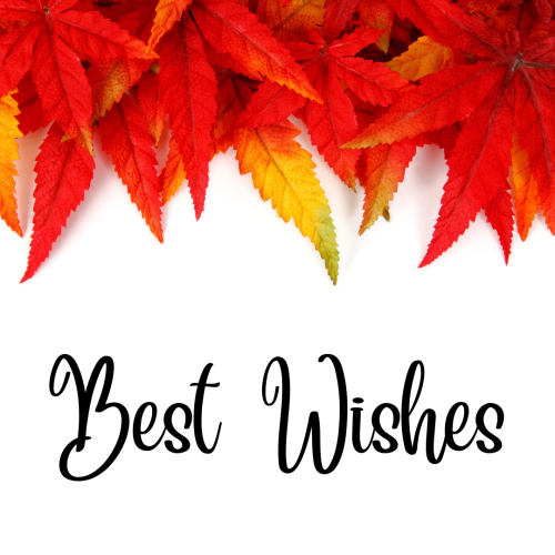 Red leaves on top, Best Wishes.