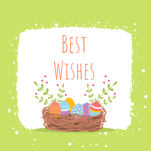 Eggs in the bucket, Best wishes.