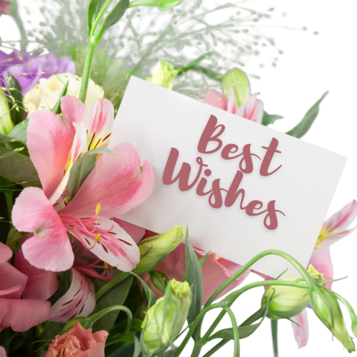 Best Wishes, a pink flower bokeh.