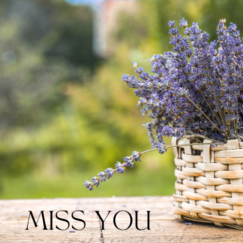 Flower in the bucket, Best wishes.