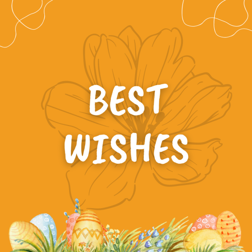 Orange background and flower and eggs, Best Wishes.