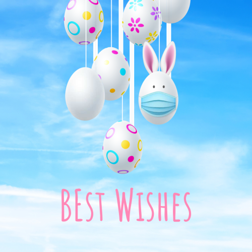 Lots of eggs are hanging, Best Wishes.