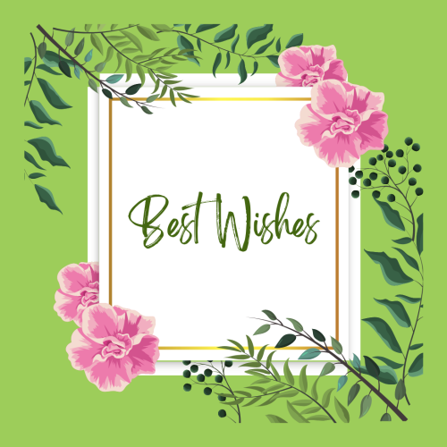 Best Wishes, green background and pink flowers.