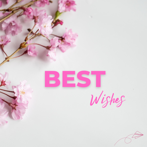 Pink flowers on a white background, Miss You.