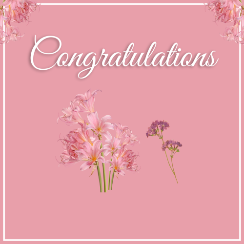 Flowers on a pink background, Congratulation.