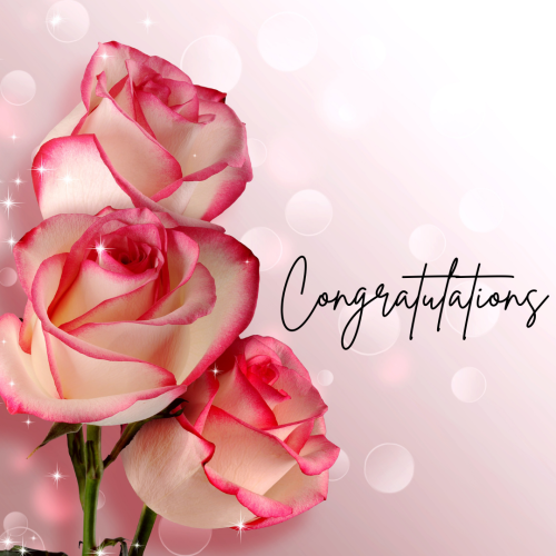 Pink flower on a pink background, Congratulations.