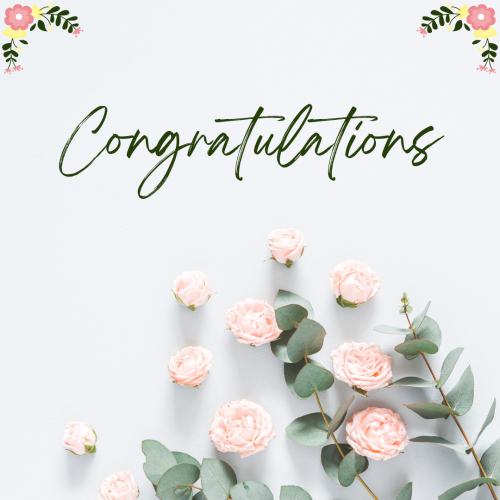 Pink flowers on a white background, Congratulations.