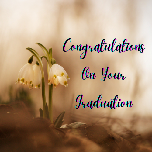 Best Image Card For Wishing, Congratulations On Your Graduation