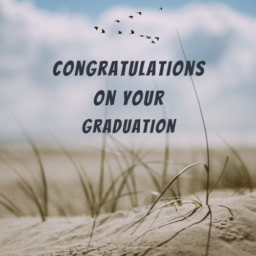 Wishing Card Birds Flying, Congratulations On Your Graduation