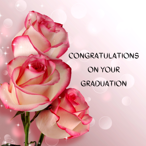 Beautiful Rose, Congratulations On Your Graduation