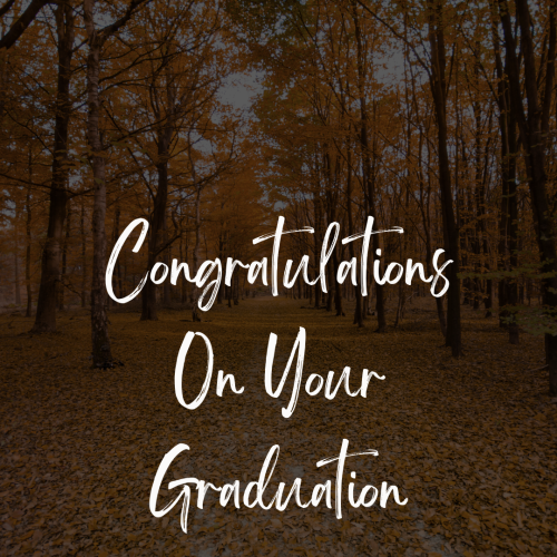 Beautiful Background With Yellow Leaves Tree, Congratulations On Your Graduation