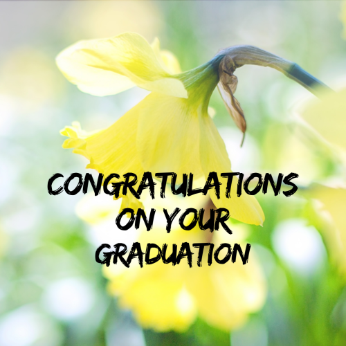 Yellow Flower Image Card, Congratulations On Your Graduation