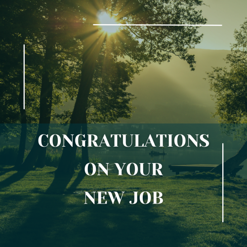 Sunrise In The Morning, Congratulations On Your New Job